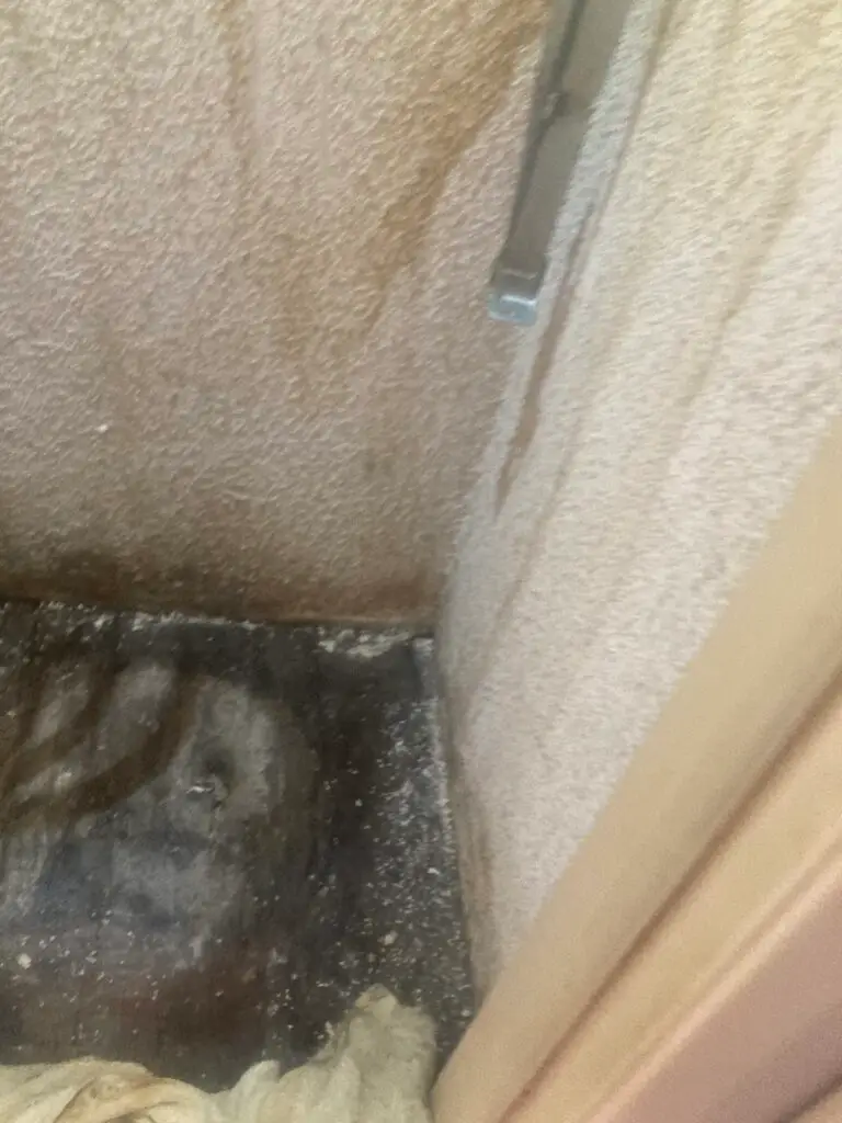Water Heater Replacement and Platform Repair in Northridge — drywall replacement